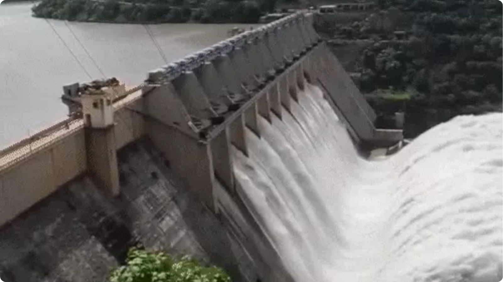 CISF करेगा BBMB की सुरक्षा, 
