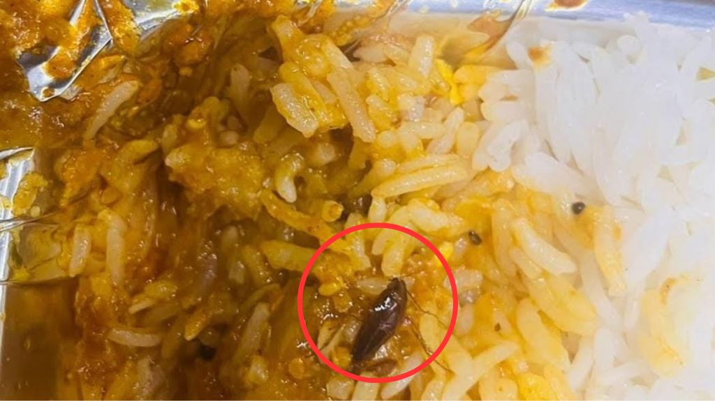वंदे भारत ट्रेन में यात्री के खाने में निकला था कॉकरोच, 