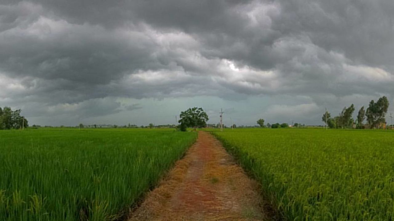 पंजाब-चंडीगढ़ में आज से बदलेगा मौसम, 28 फरवरी तक होगी बारिश 