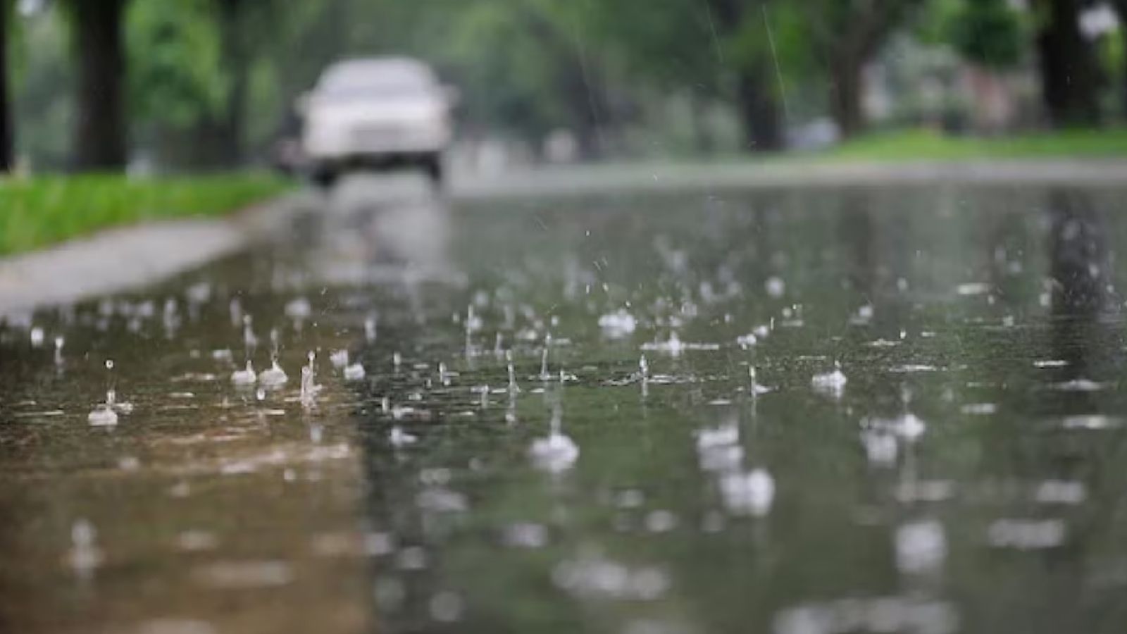 पंजाब में आंधी-तूफान के साथ होगी बारिश,