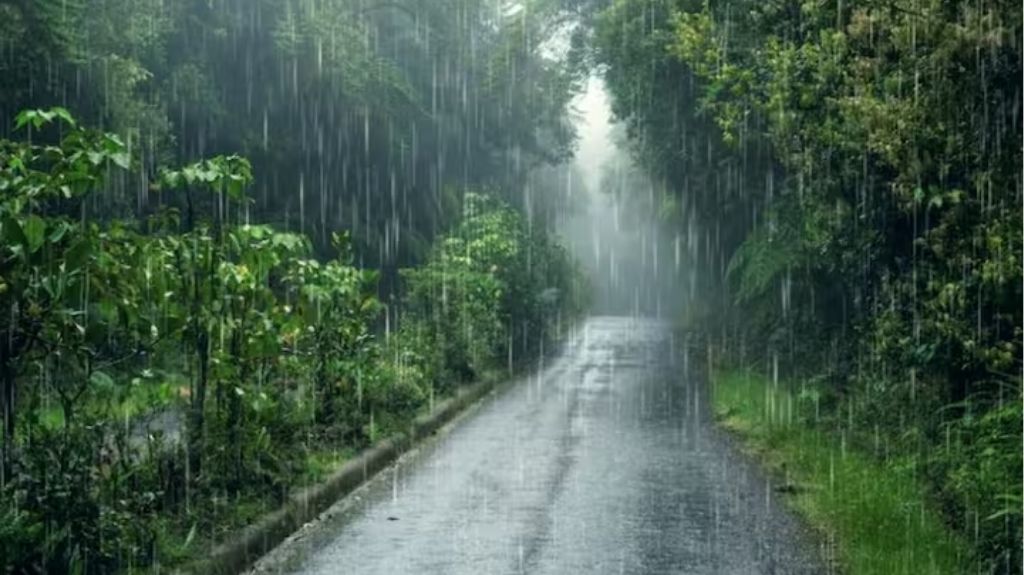  पंजाब - हरियाणा समेत इन राज्यों में होगी बारिश, 