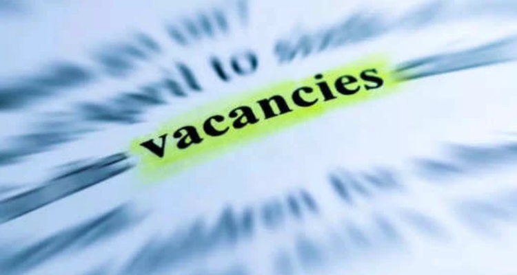 Haryana PGT Recruitment 2024 : हरियाणा में पीजीटी के 3069 पदों 