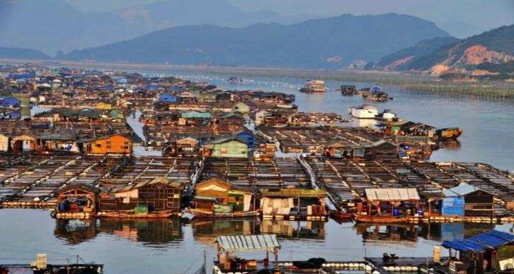 Ajab Gajab : 1300 साल से समुद्र के बीचों-बीच बसा है पूरा गांव, दो 