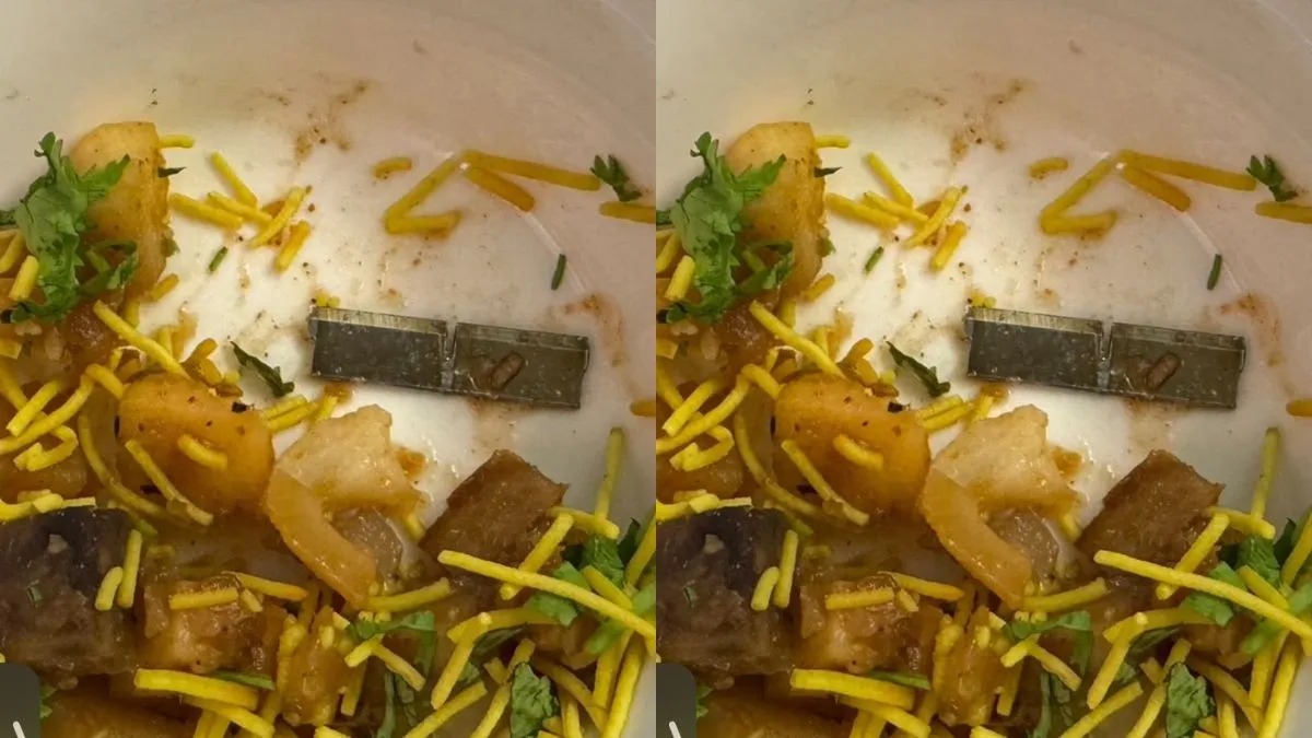 एयर इंडिया की फ्लाइट में पैसेंजर के खाने से निकला ब्लेड, 