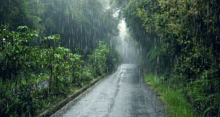 पंजाब के 7 जिलों में आज होगी बारिश,