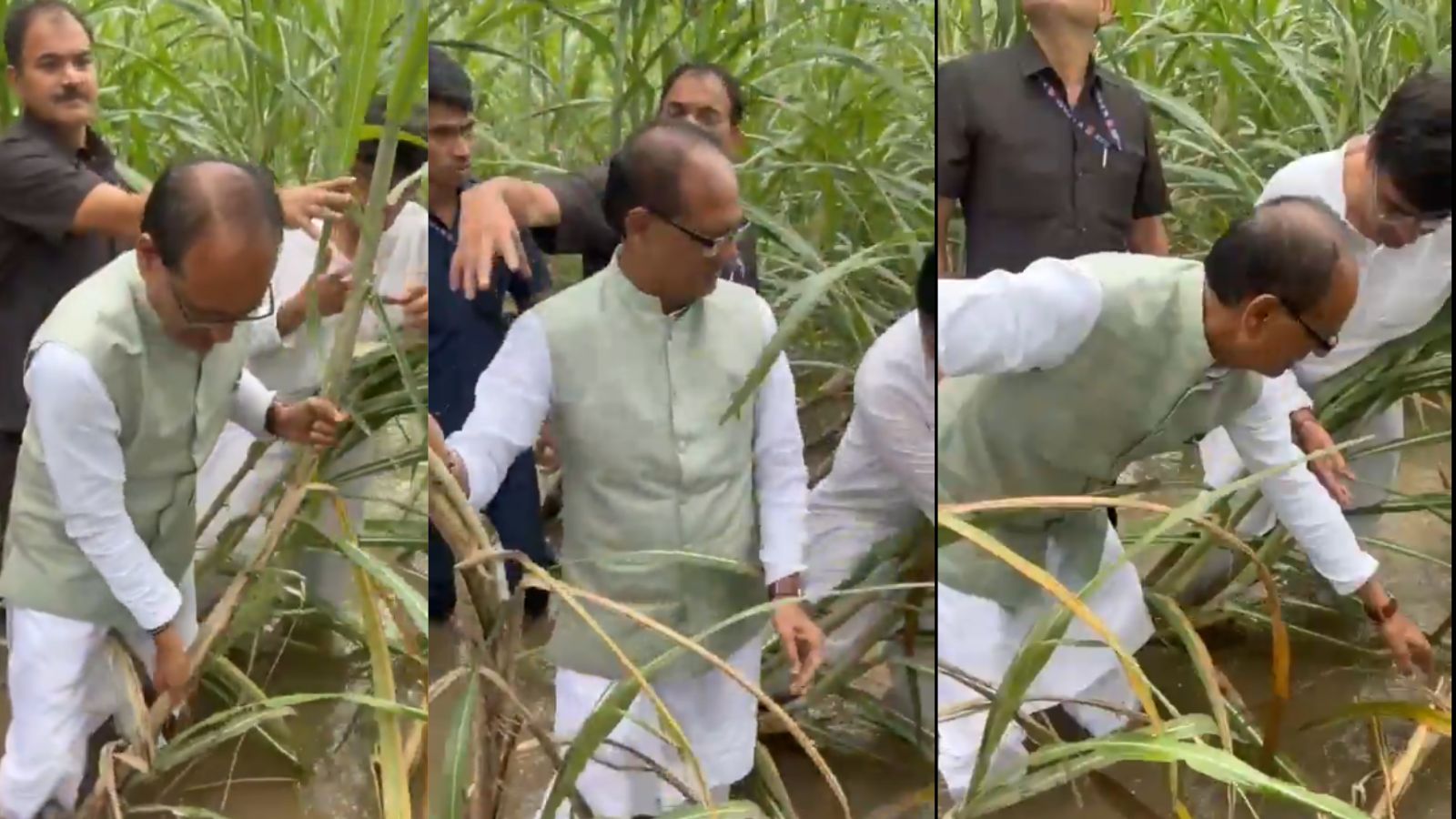 कृषि मंत्री शिवराज सिंह चौहान जमीनी हालात देखने पंजाब पहुंचे, 