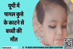 यूपी में पागल कुत्ते के काटने से बच्ची की मौत