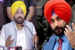 नवजोत सिद्धू ने भगवंत मान को बताया इश्तिहारी CM 