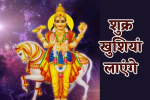 जीतोड़ मेहनत के बाद भी फायदा नहीं, अगर आपका शुक्र कमजोर 
