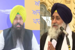 AAP नेता मलविंदर कंग के अकाली दल पर तीखे बोल,