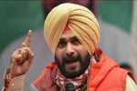 नवजोत सिंह सिद्धू ने सीएम भगवंत मान पर साधा निशाना, 