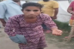 आपने भी रखा है पिटबुल कुत्ता तो हो जाएं सावधान, 