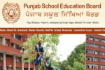 PSEB ने 8वीं और 12वीं क्लास के जारी किए नतीजे, 