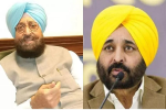 प्रताप बाजवा ने स्वीकार किया CM भगवंत मान का चैलेंज