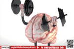 45 मिनट तक यह Exercise करने से हिप्पोकैम्पस में होता है 