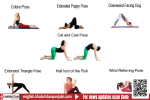 Are you facing problems regarding your chest?-here are the solutions