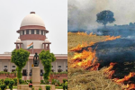 पराली जलाने वाले किसानों को न दें MSP का लाभ 
