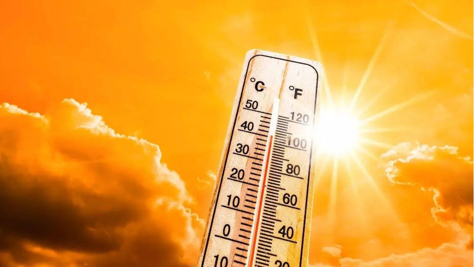 Heat broke all records in Punjab, temperature reached 47 degrees, hot weather will last till May 24