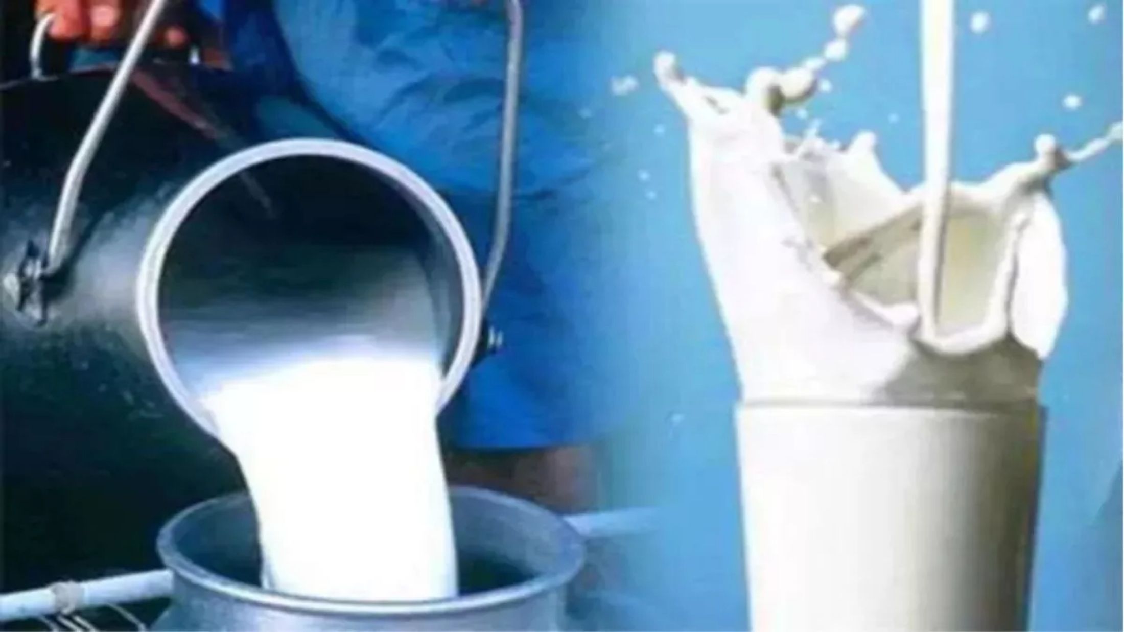 Punjab: Verka Hikes Milk Procurement Rates by Up to ₹15; New Rates Come into Effect
