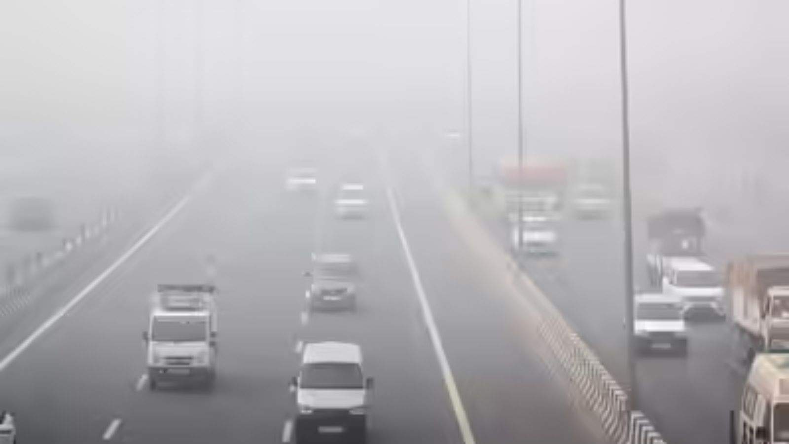 pollution wreaks havoc