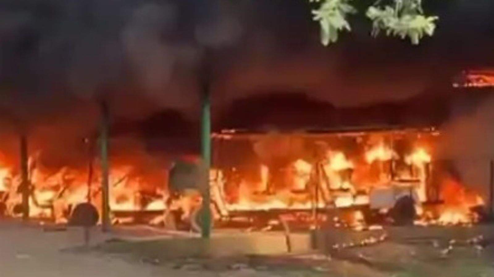 Fire breaks out at Chhatbir Zoo in Mohali