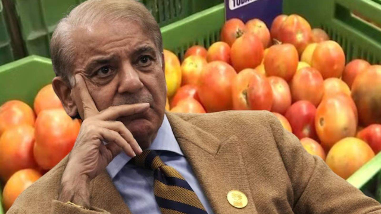 Tomatoes now cost Rs 600 per kg in Pakistan