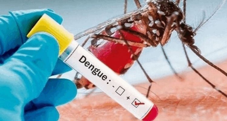 Dengue and Chikungunya outbreaks raise concerns for Punjab administration