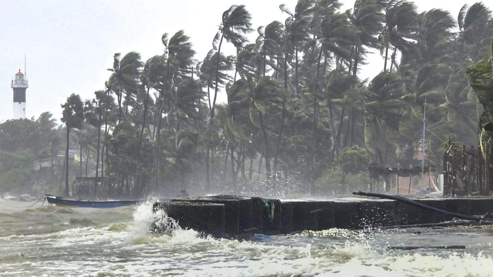 Cyclone Ditwaha wreaks havoc in Tamil Nadu