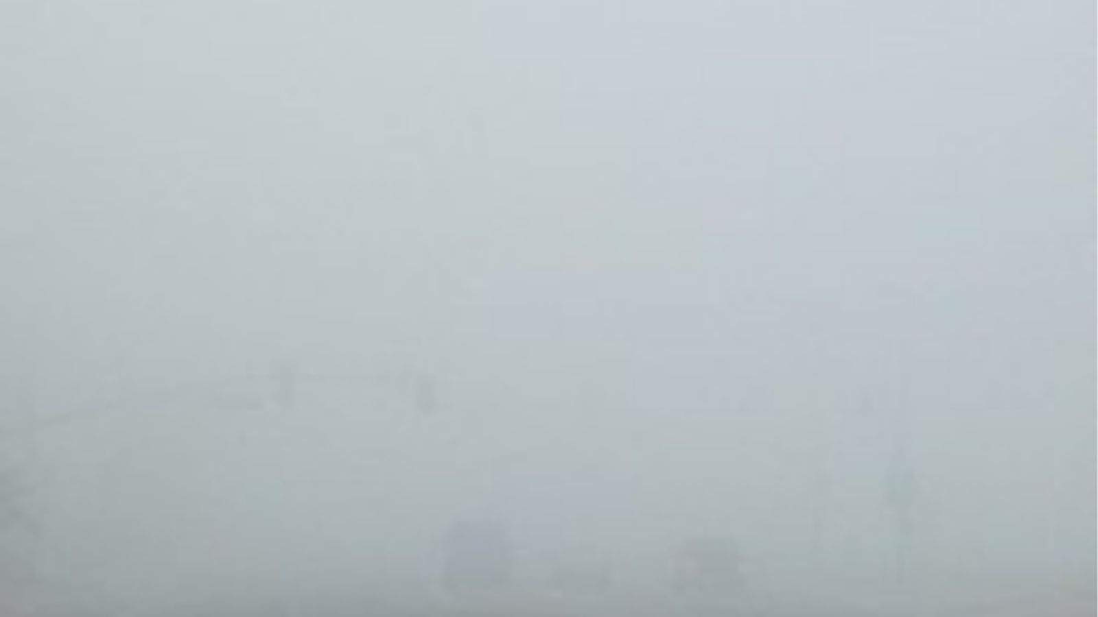 Dense fog and cold weather alert issued for 6 days in Punjab, vehicles seen crawling on the roads