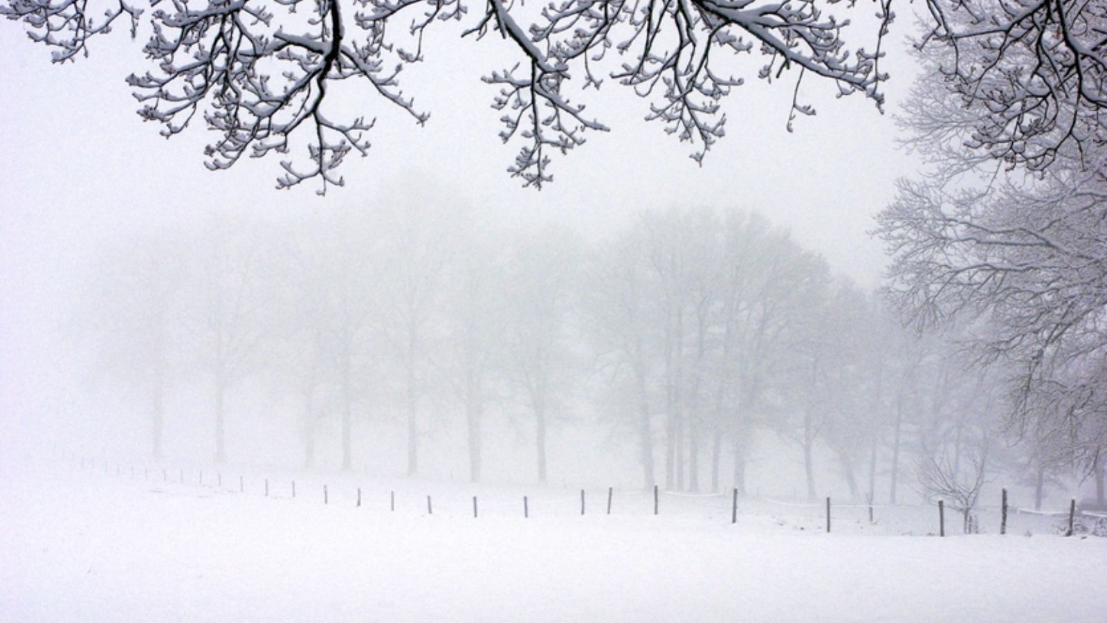 severe cold weather alert has been issued for Punjab and Chandigarh