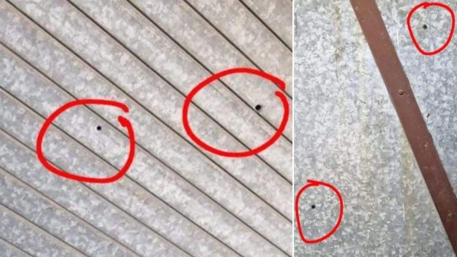 Panic in Kapurthala after firing incident