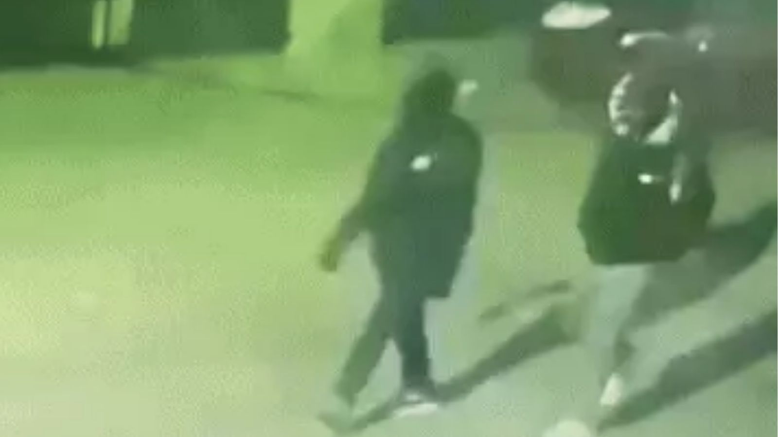 The wife of a former Additional Advocate General of the High Court has been murdered in Punjab.