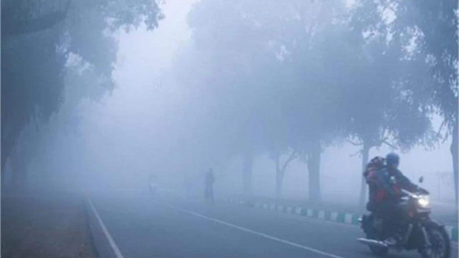In Punjab, a yellow alert for dense fog and cold wave remains in effect until this day
