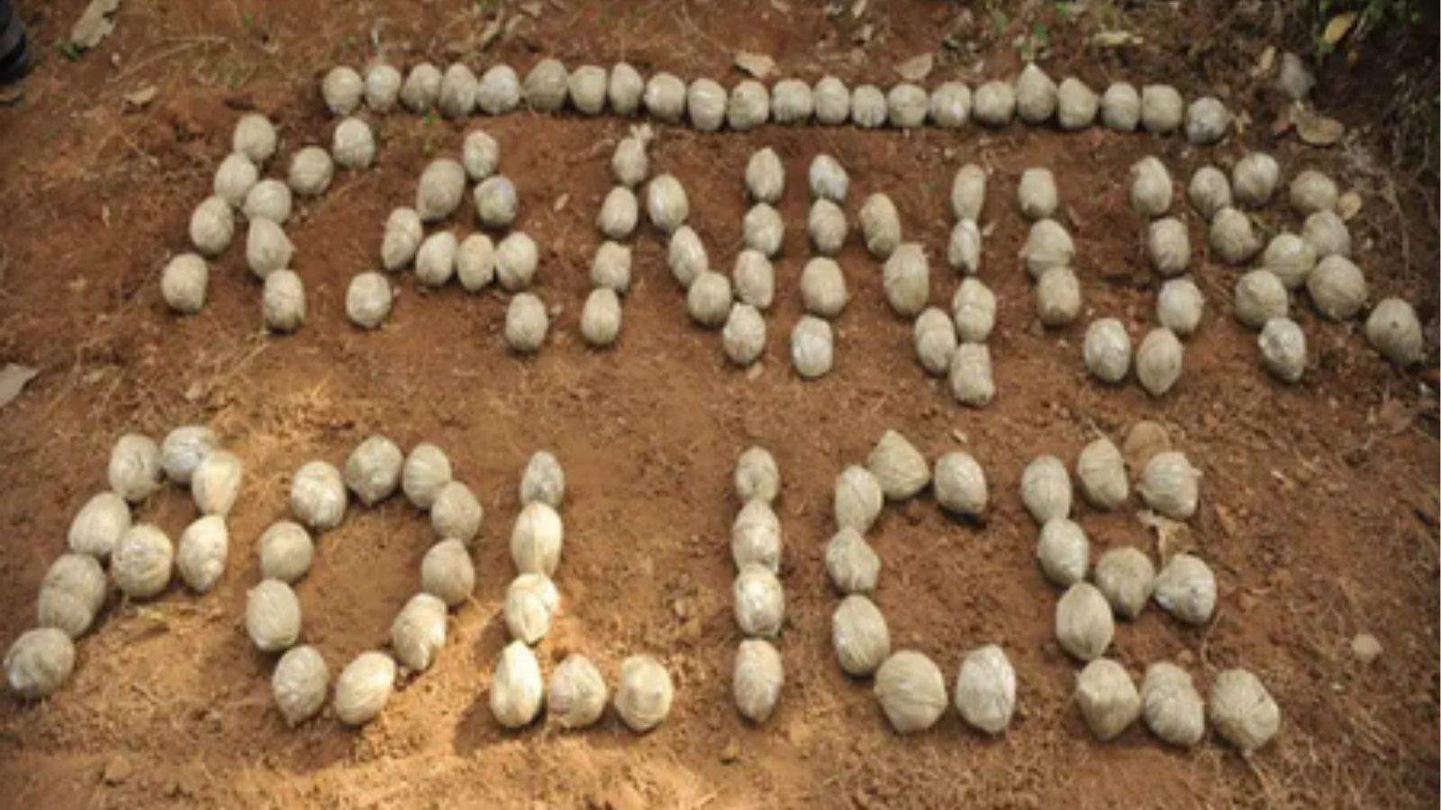 Bomb threats cause panic in three states; a train in Uttar Pradesh and a court in Karnataka received threats