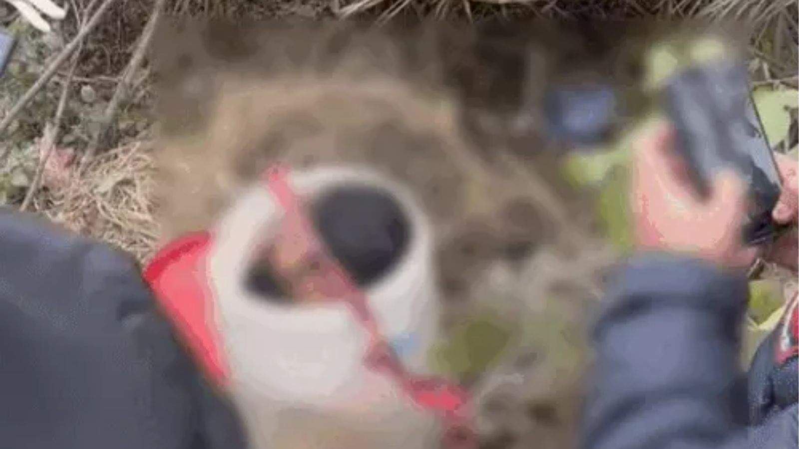 Davinder murder case in Ludhiana: Report reveals injection marks,