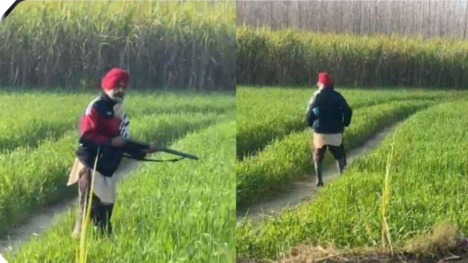 A land dispute in Hoshiarpur led to a shooting incident;