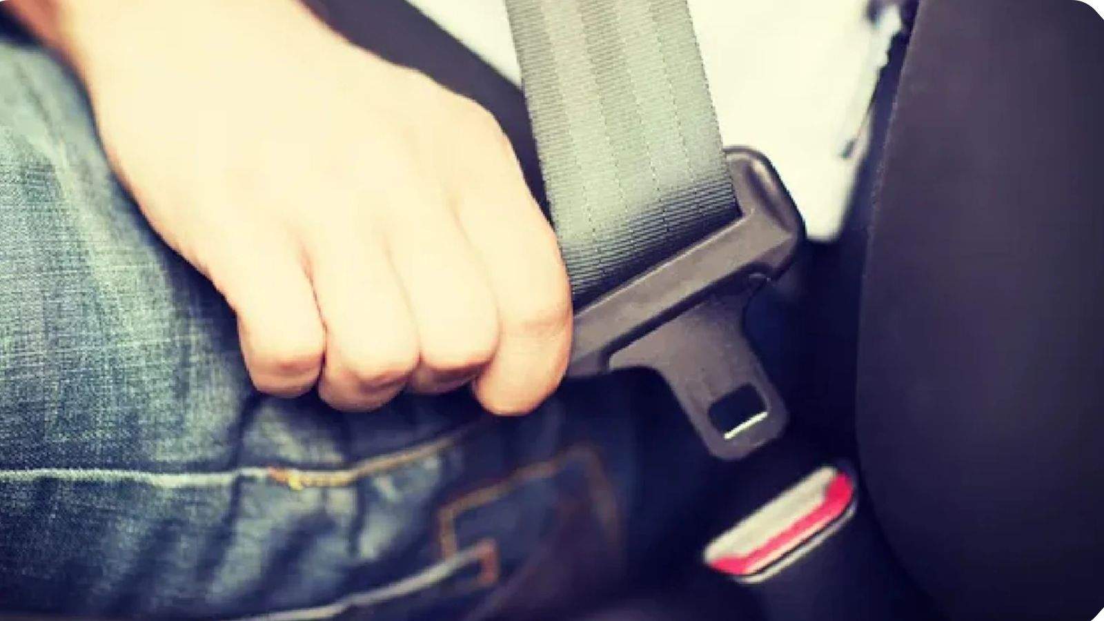 Seat belts are mandatory for bus drivers