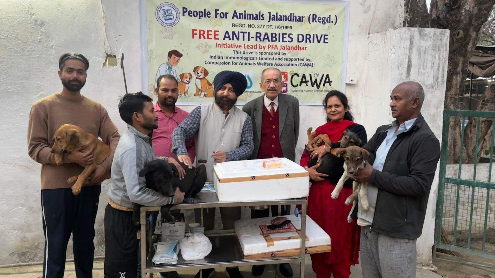 15-day free anti-rabies vaccination camp begins in Jalandhar