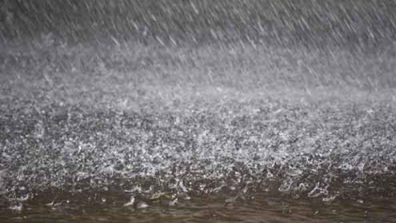 Weather Shifts in Punjab and Chandigarh: Orange Alert for Rain, Strong Winds, and Hailstorm