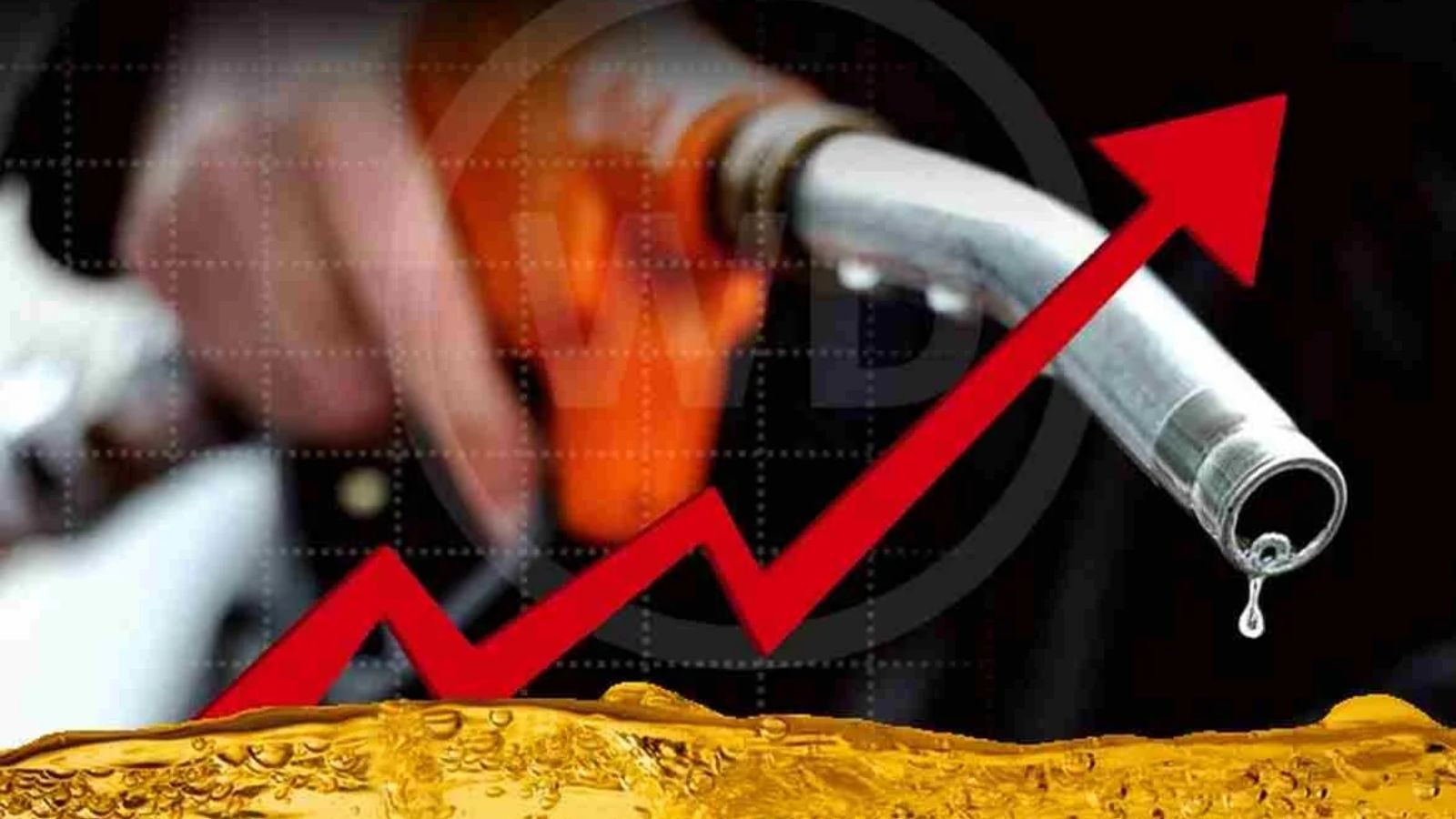 Iran war impacts petrol and diesel prices rise by Rs 55, Russia extends help