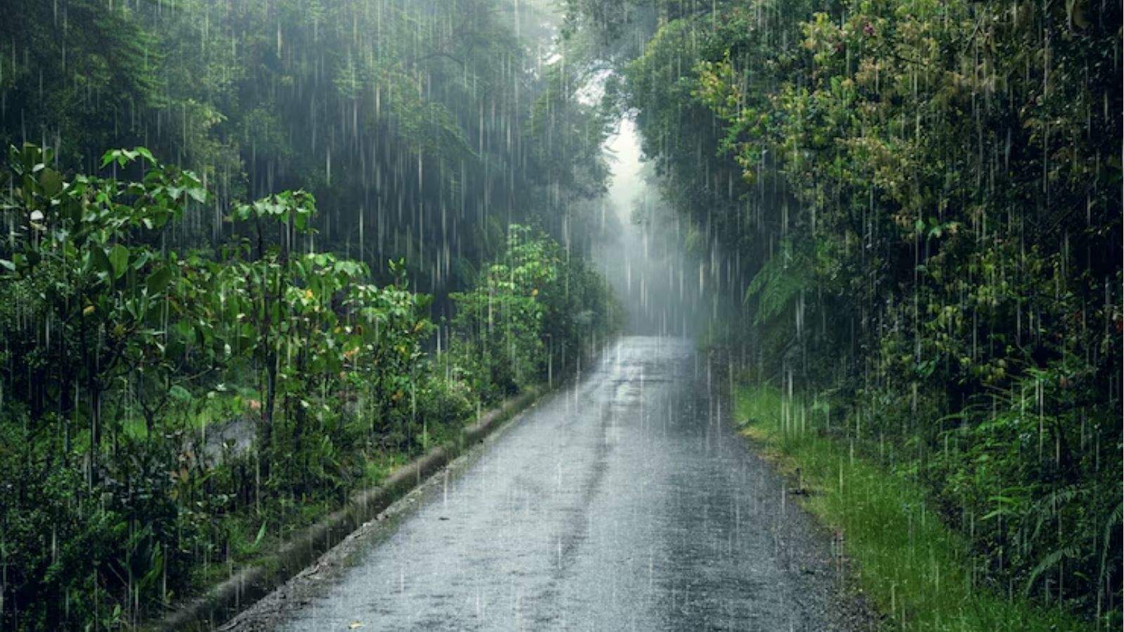 Rain Intensifies Cold in Punjab; Alert Issued for Today as Well, Hailstorm Likely in These Districts