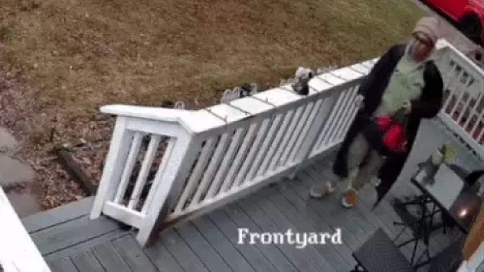 Punjabi Influencer Nancy Grewal Murder Case in Canada: Sister Shares Final Video