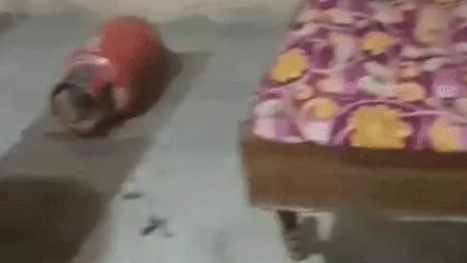 Blast during illegal gas refilling in Jalandhar's Sham Nagar, a youth suffered serious burns.