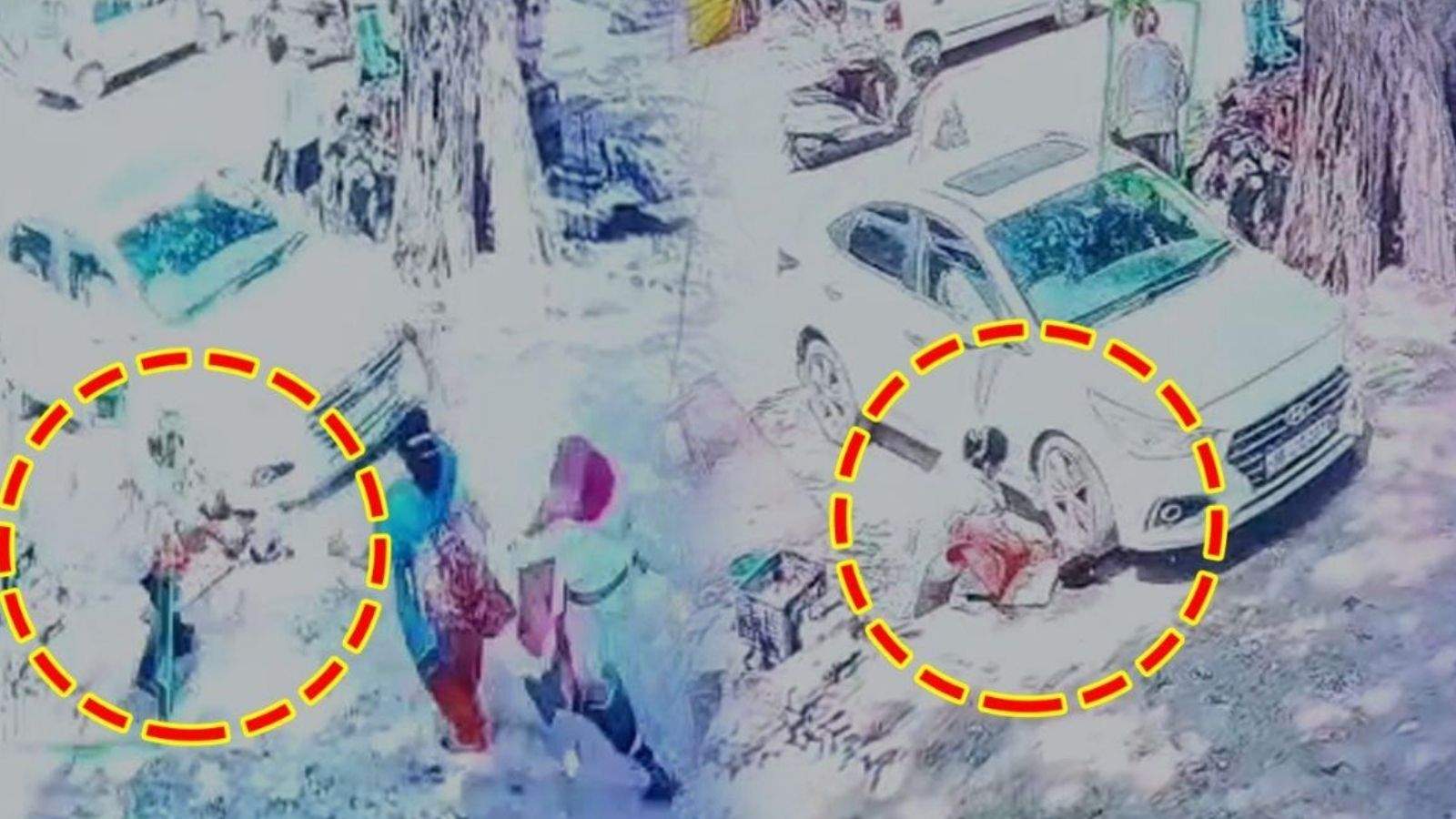 Tragic Accident in Mohali: 4-Year-Old Girl Dies After Being Run Over by Car; Incident Captured on CCTV