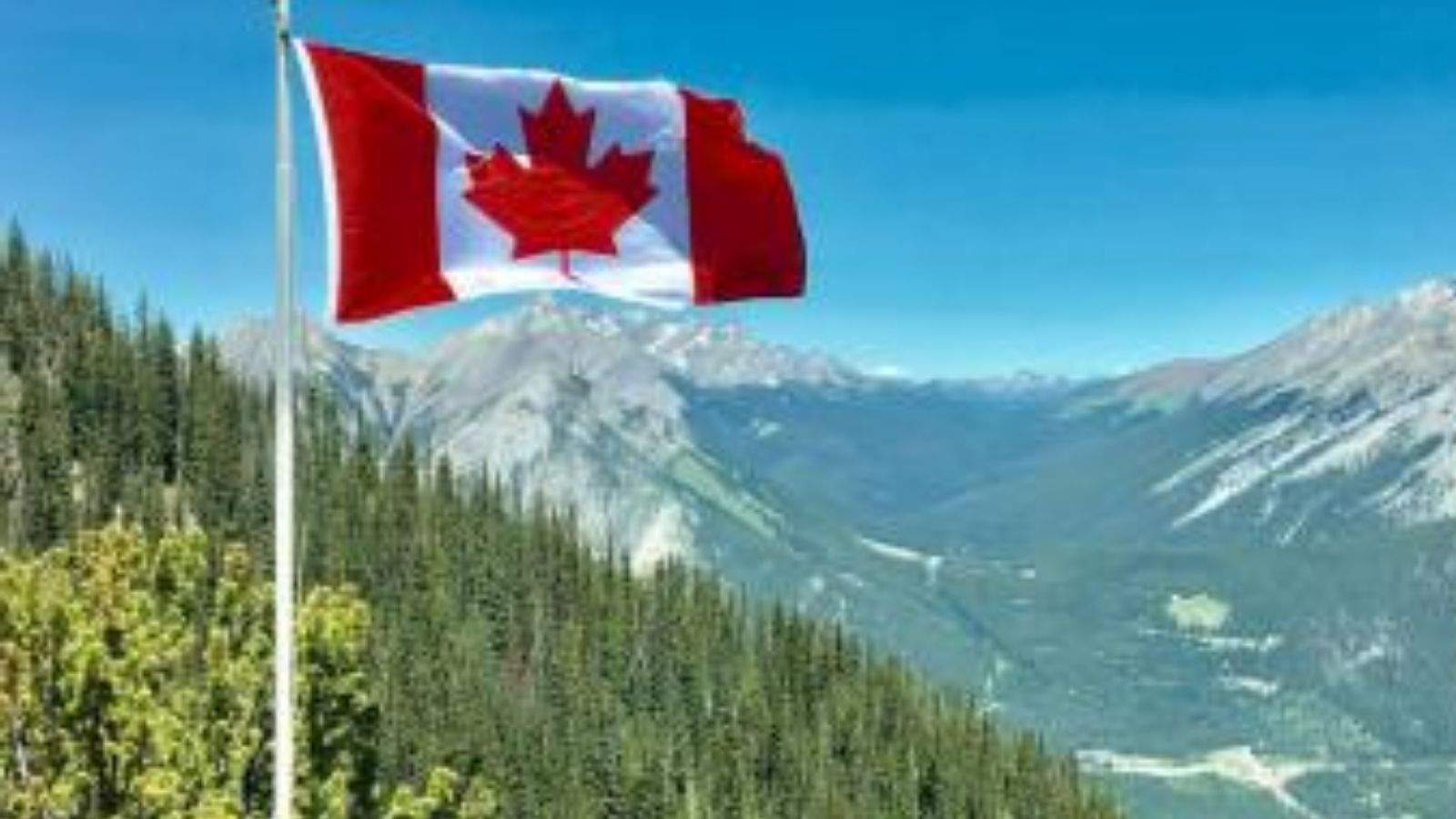 New Immigration Law in Canada: Notices Issued to 30,000 Immigrants, Including 9,000 Punjabis!