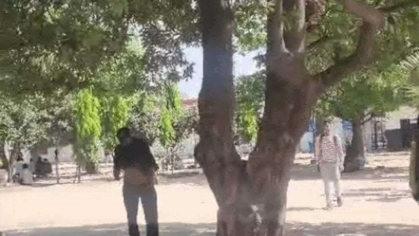 Chandigarh — Following Ludhiana, a man was spotted staggering under the influence of drugs in broad daylight in Jalandhar; the incident occurred just 50 meters away from the GRP police station.
