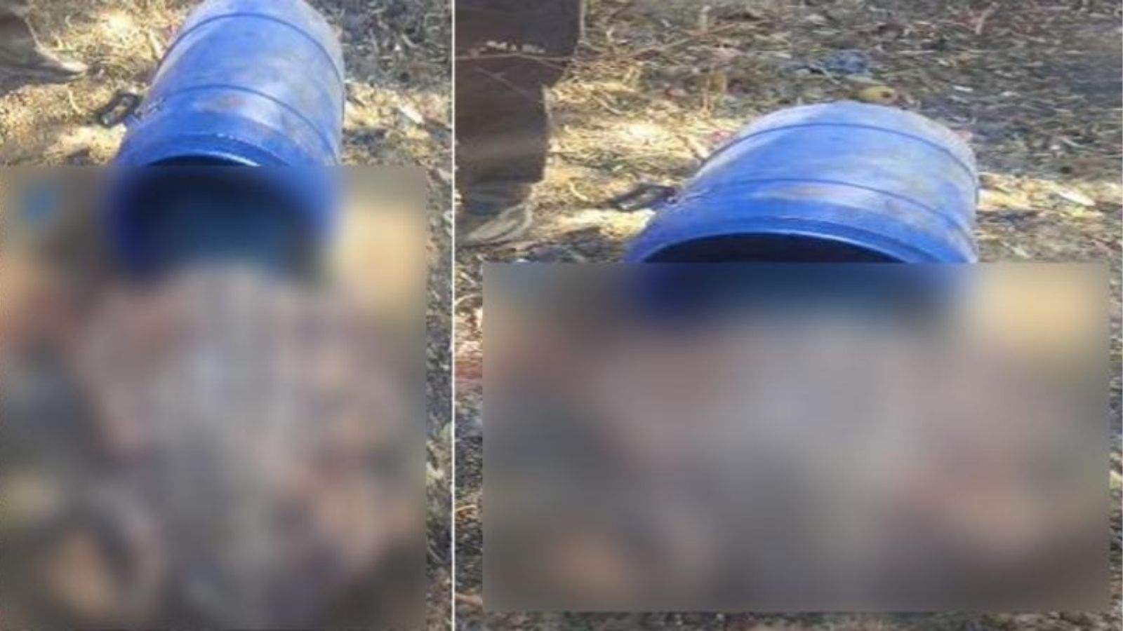 The blue drum is again discussed, now the dead body of a young woman was found in the blue drum in Patiala