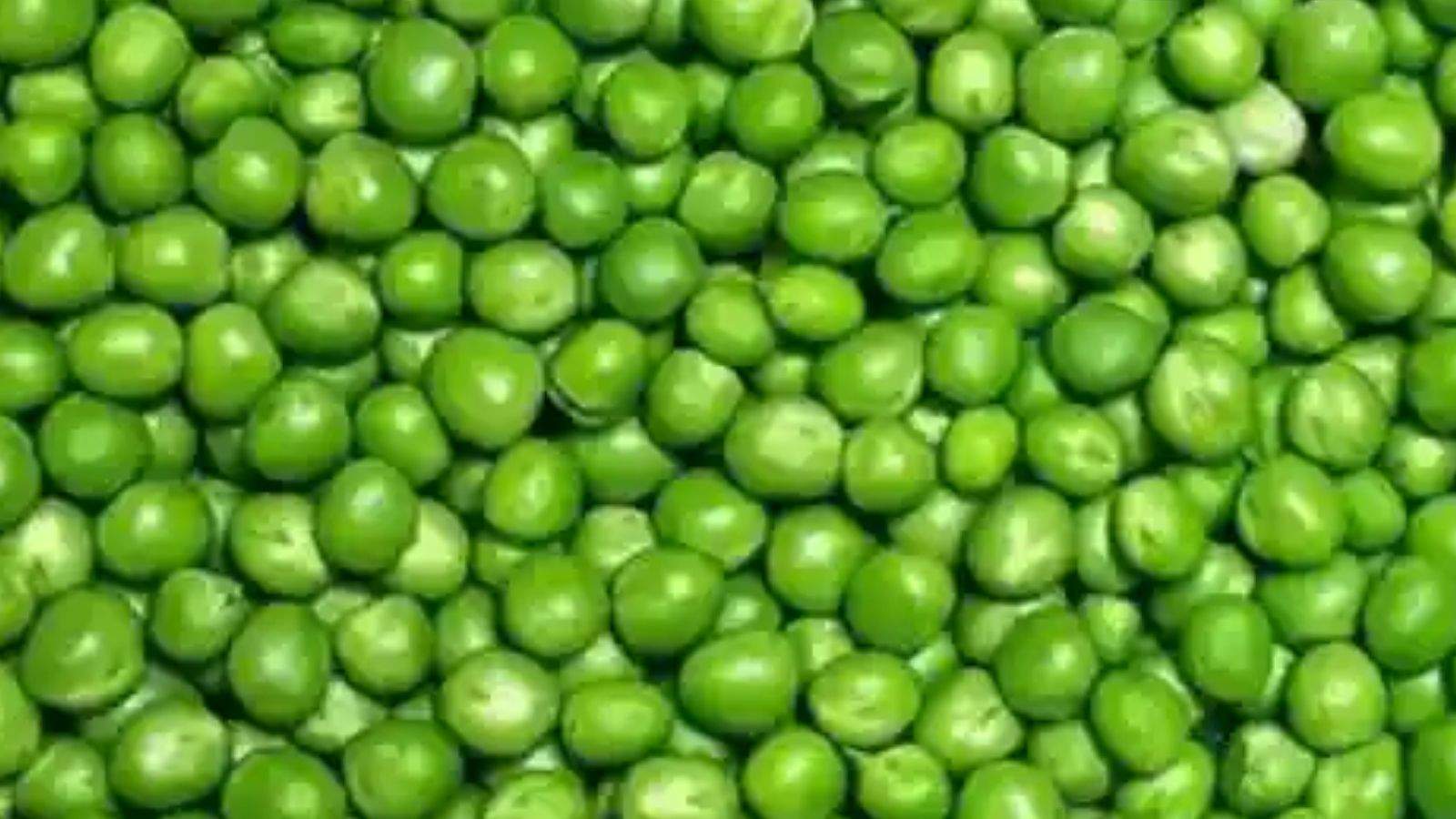 One dead, several family members ill after consuming packaged peas in Tarn Taran.