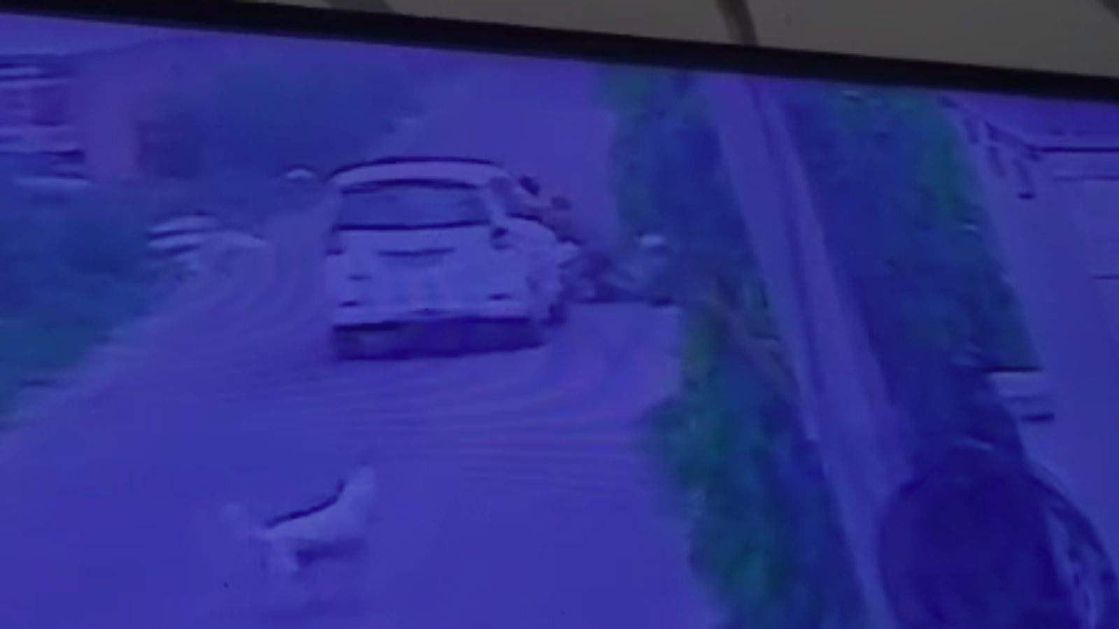 Chain snatching in broad daylight in Jalandhar; doctor's wife attacked; incident captured on CCTV.