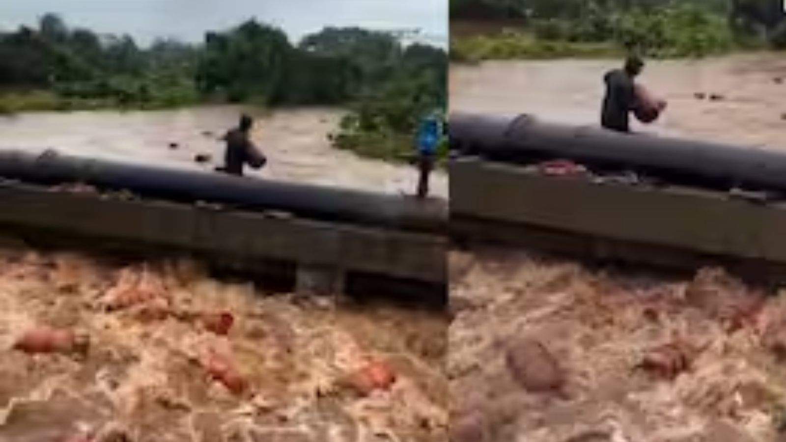 Monsoon havoc across the country: 3,000 LPG cylinders washed away in Maharashtra; normal life disrupted in several states due to rains, floods, and landslides.